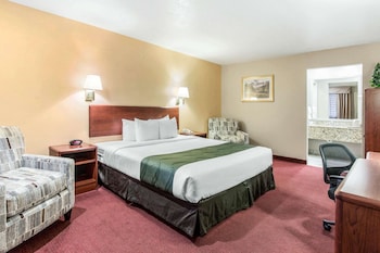 Standard Room, 1 King Bed, Non Smoking (Pet Friendly)
