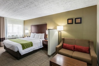 Standard Room, 1 King Bed, Non Smoking