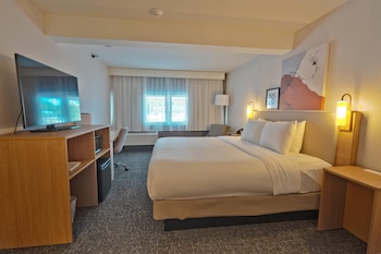 Room, 1 King Bed, Non Smoking (Upgrade)