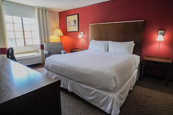 Standard Room, 1 King Bed, Non Smoking, Refrigerator & Microwave