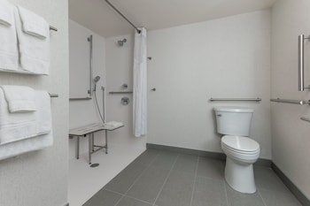 Standard Room, 1 King Bed, Roll-in Shower (Accessible, Pet Friendly)