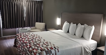 Standard Room, 1 King Bed, Accessible, Non Smoking