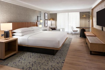 Room, 1 King Bed