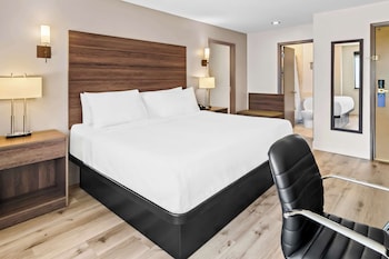 Suite, 1 King Bed, Non Smoking, Refrigerator & Microwave (with Sofabed)