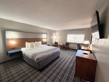 Room, 1 King Bed, Non Smoking