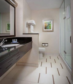 Suite, 1 King Bed with Sofa bed
