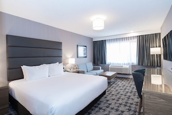 Standard Room, 1 King Bed with Sofa bed