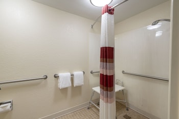 Standard Room, 1 King Bed, Accessible (Roll-In Shower, Smoke Free)