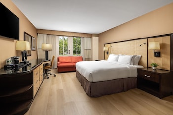 Room, 1 King Bed, Non Smoking, Patio