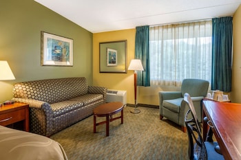 Standard Room, 1 King Bed with Sofa bed, Non Smoking