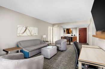 1 Bedroom Suite, 1 King Bed, Sofa Bed