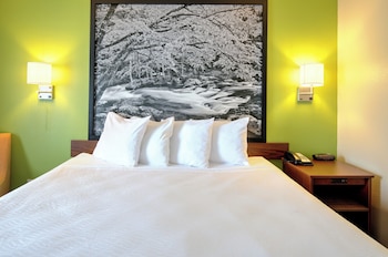 Standard Room, 1 King Bed, Accessible, Non Smoking