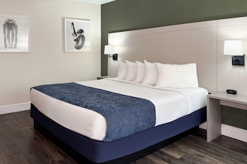 Room, 1 King Bed, Non Smoking (Garden)