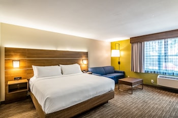 Standard Room, 1 King Bed with Sofa bed