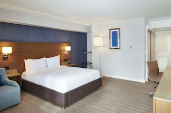 Room, 1 Double Bed, Accessible, Non Smoking (Roll-in Shower)