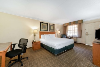 Room, 1 King Bed