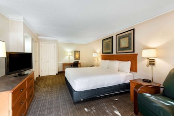 Room, 1 King Bed