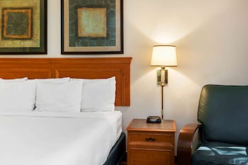Room, 1 King Bed