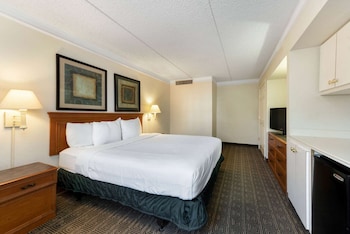 Suite, 1 King Bed