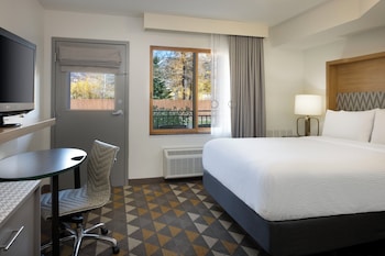 Suite, 1 Bedroom, Accessible (Roll-In Shower)