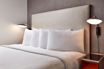 Room, 1 King Bed with Sofa bed (Mobility/Hearing Access, Roll-In Shwr)