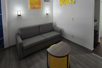Suite, 1 King Bed with Sofa bed, Accessible, Non Smoking