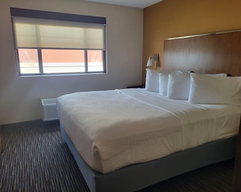 Suite, 1 King Bed with Sofa bed, Non Smoking