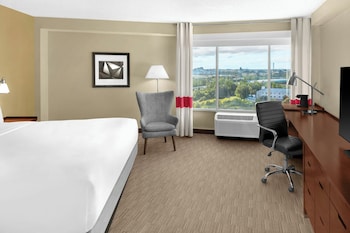 Room, 1 King Bed