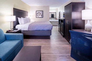 Room, 1 King Bed, Non Smoking
