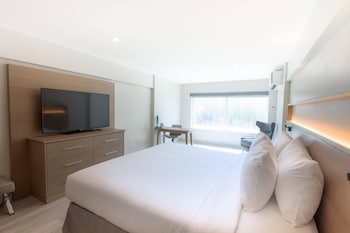 Executive Room, 1 King Bed