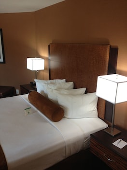 Suite, 1 King Bed, Non Smoking, Refrigerator & Microwave (with Sofabed)