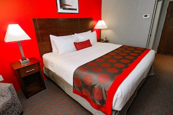 Room, 1 King Bed, Non Smoking
