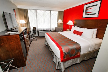 Room, 1 King Bed, Non Smoking