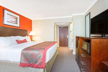 Deluxe Suite, 1 King Bed, Non Smoking (Property Sell Only)