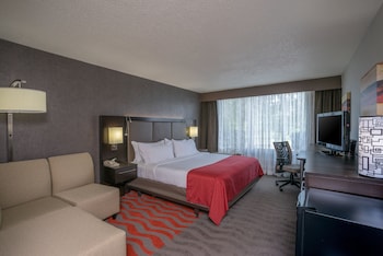 Standard Room, 1 King Bed, Accessible (Communications)