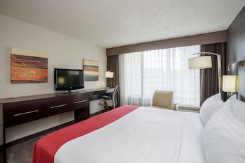 Standard Room, 1 King Bed with Sofa bed