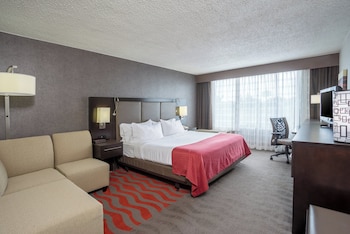 Standard Room, 1 King Bed with Sofa bed