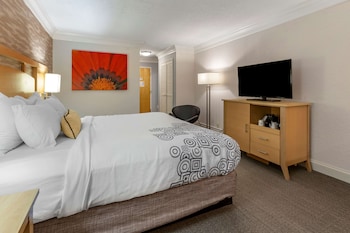 Standard Room, 1 King Bed, Non Smoking, Refrigerator