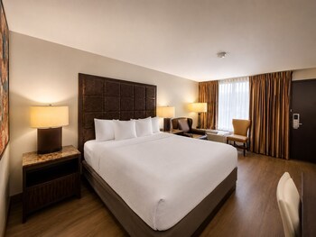 Standard Single Room, 1 King Bed, Non Smoking