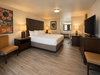 Deluxe Double Room Single Use, 1 King Bed, Non Smoking