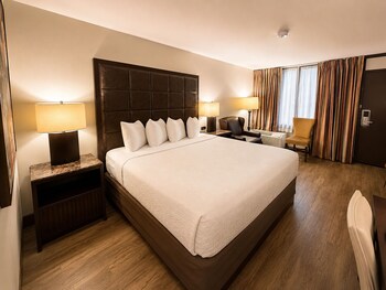 Standard Single Room, 1 King Bed, Non Smoking