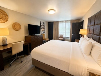Deluxe Double Room Single Use, 1 King Bed, Non Smoking