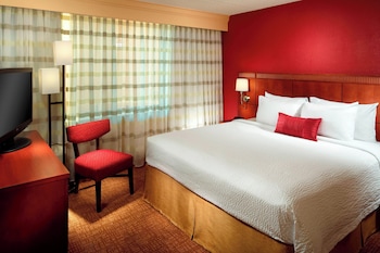 Room, 1 King Bed with Sofa bed