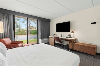 Room, 1 King Bed with Sofa bed, Hearing Accessible