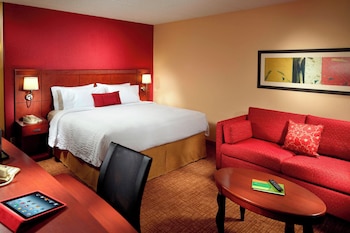 Room, 1 King Bed with Sofa bed