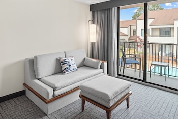 Room, 1 King Bed with Sofa bed (Hearing Accessible)