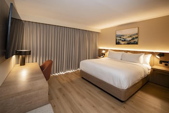 Room, 1 King Bed, Accessible, Bathtub (Mobility & Hearing)