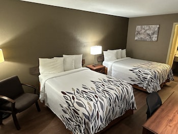 Deluxe Room, 2 Double Beds, Accessible, Non Smoking