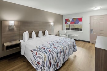 Deluxe Room, 1 Double Bed, Accessible, Non Smoking