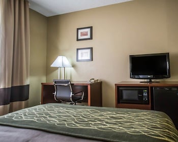 Standard Room, 1 Queen Bed, Accessible, Non Smoking